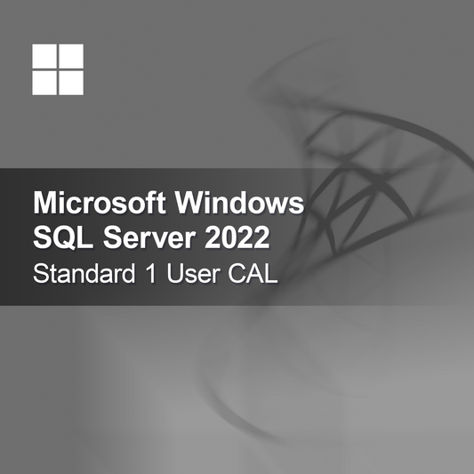 Microsoft SQL Server 2022 Standard 1 felhasználói CAL