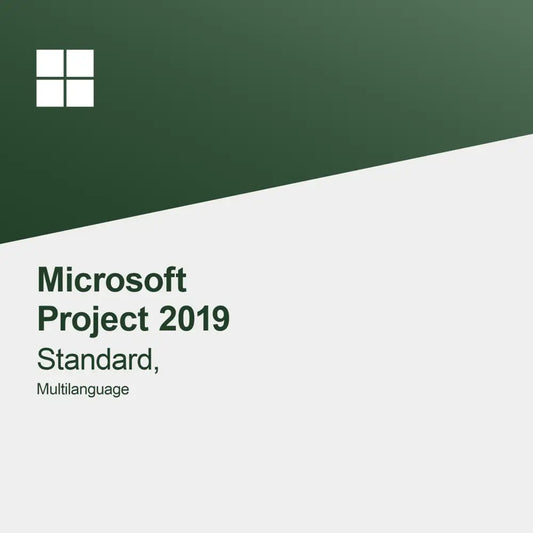 Microsoft Project 2019 Standard, többnyelvű