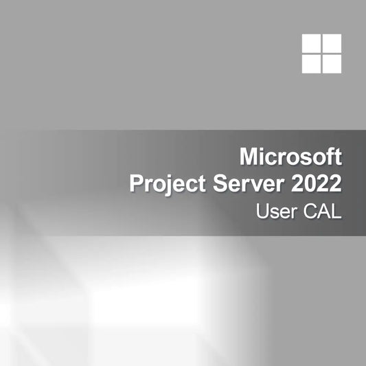 Microsoft Project Server 2022 Felhasználói CAL