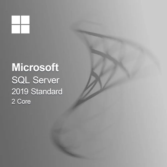 Microsoft SQL Server 2019 Standard 2 mag