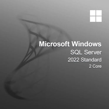 Microsoft SQL Server 2022 Standard 2 mag