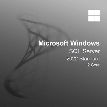 Microsoft SQL Server 2022 Standard 2 mag