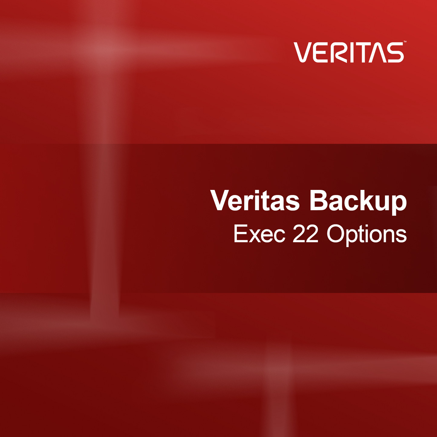 Veritas Backup Exec 22 Opciók